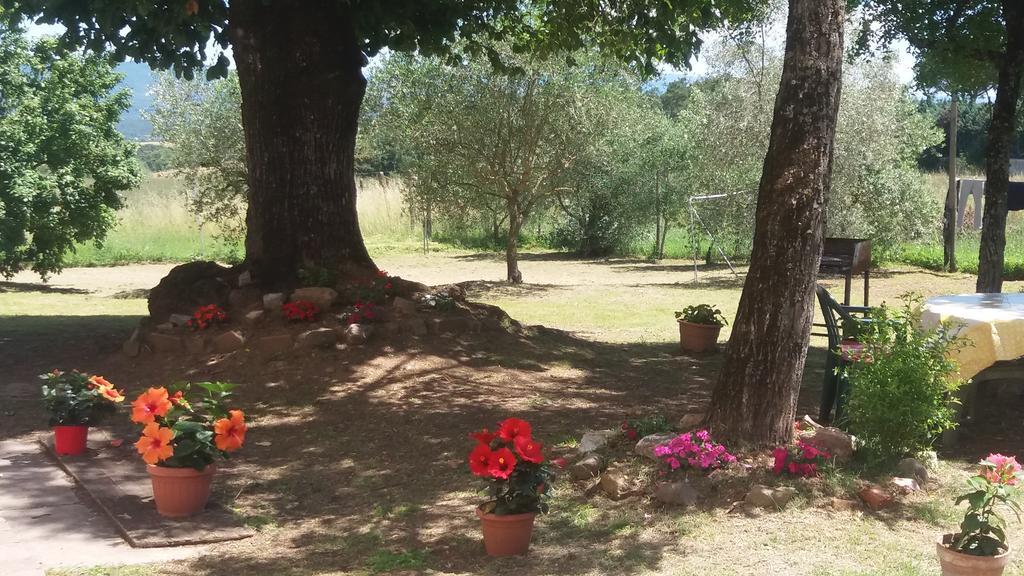 Bed and Breakfast Azzurre Beb Laterina Exterior foto